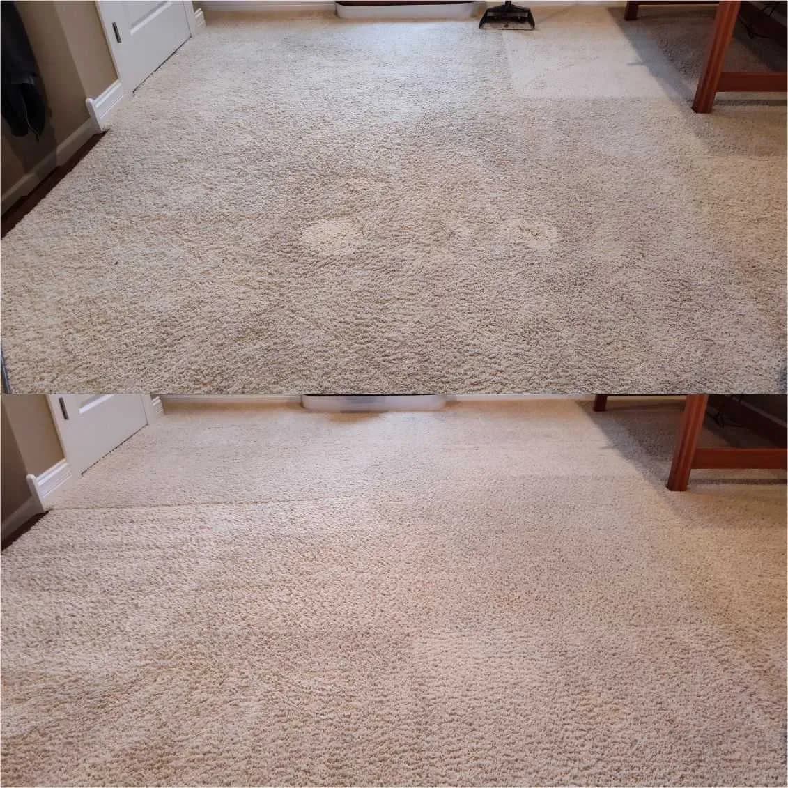 Before After Carpet Cleaning 3 by Haugland Brothers