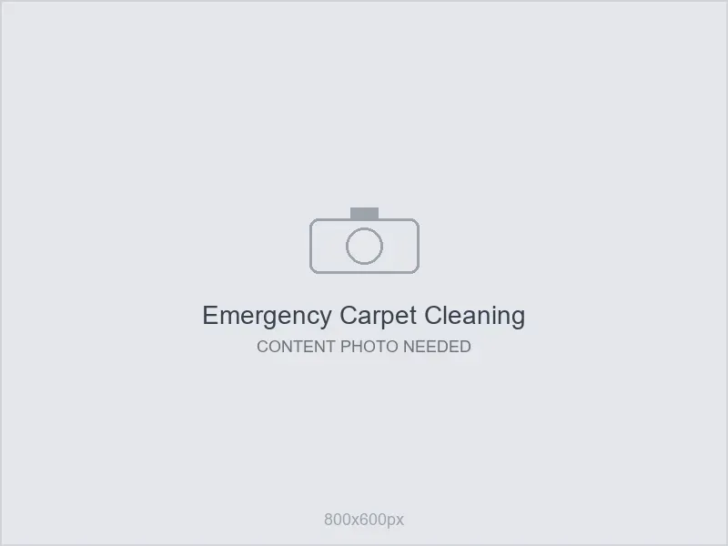 Placeholder: emergency carpet cleaning content - photo needed