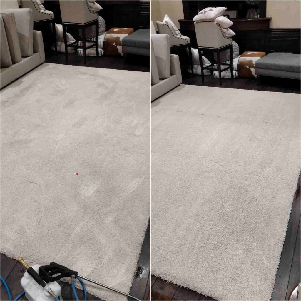 area rug cleaning