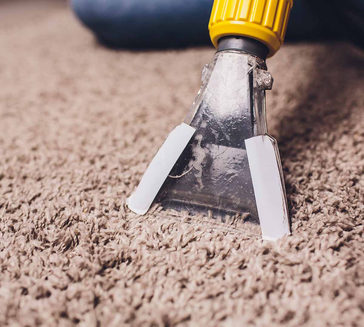 Professional Carpet Cleaning Chicago
