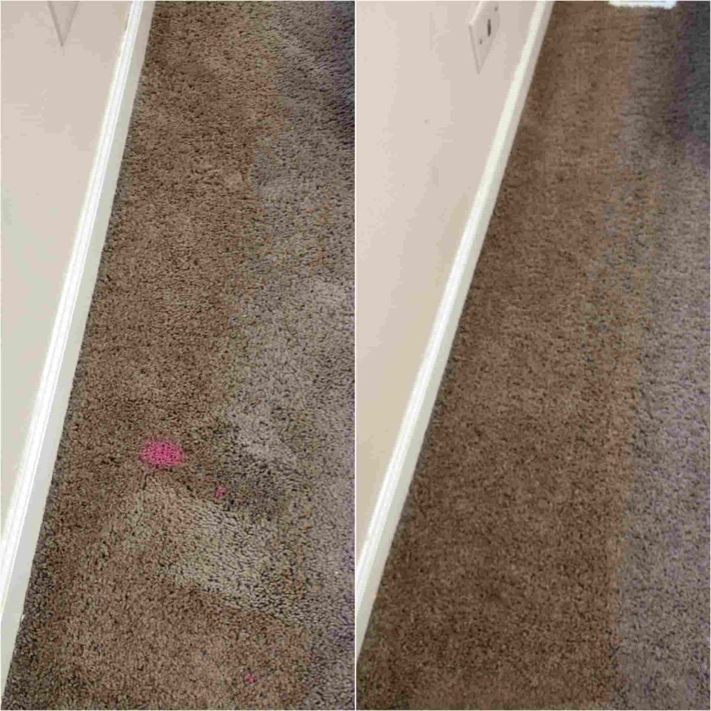 carpet cleaners