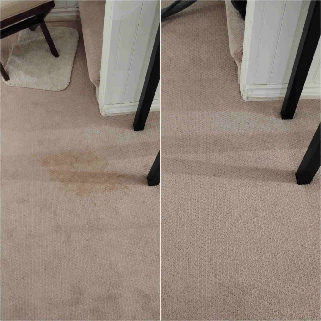 carpet cleaning