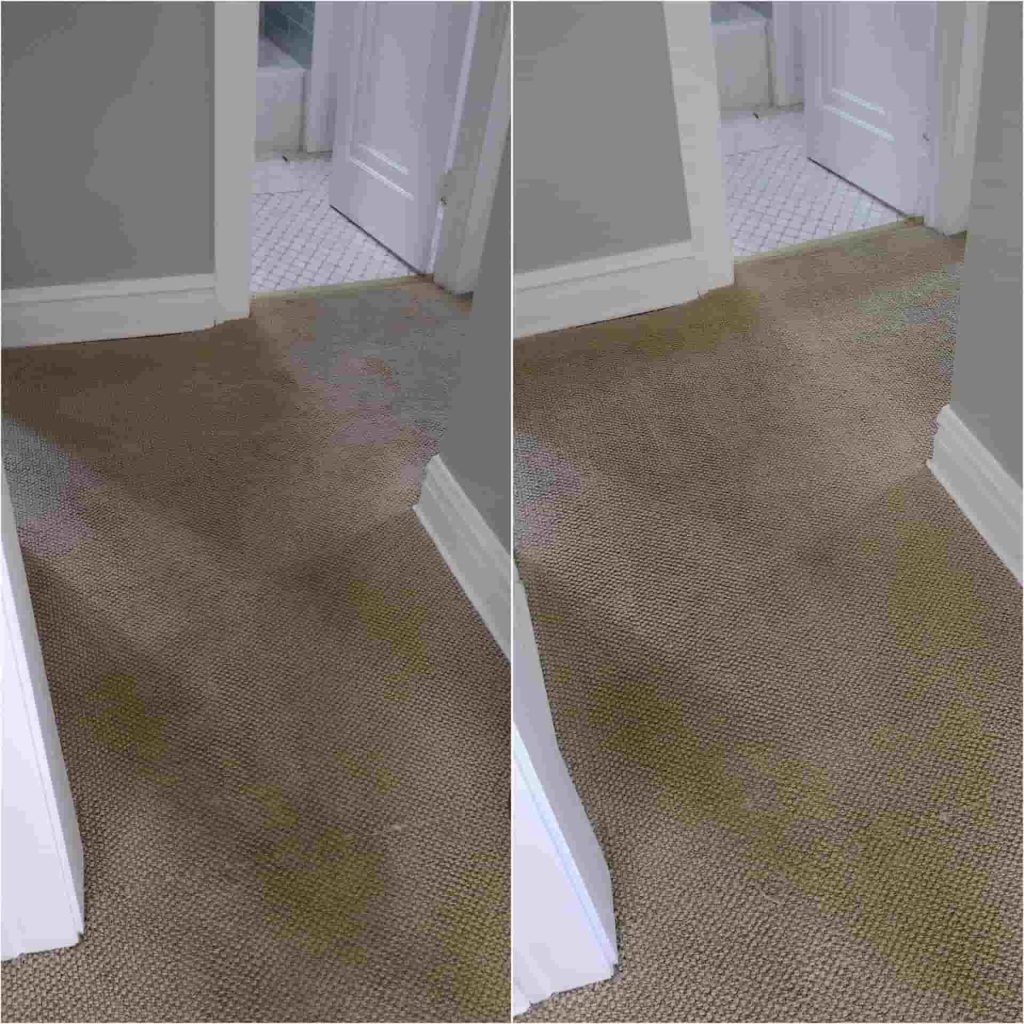 carpet cleaning