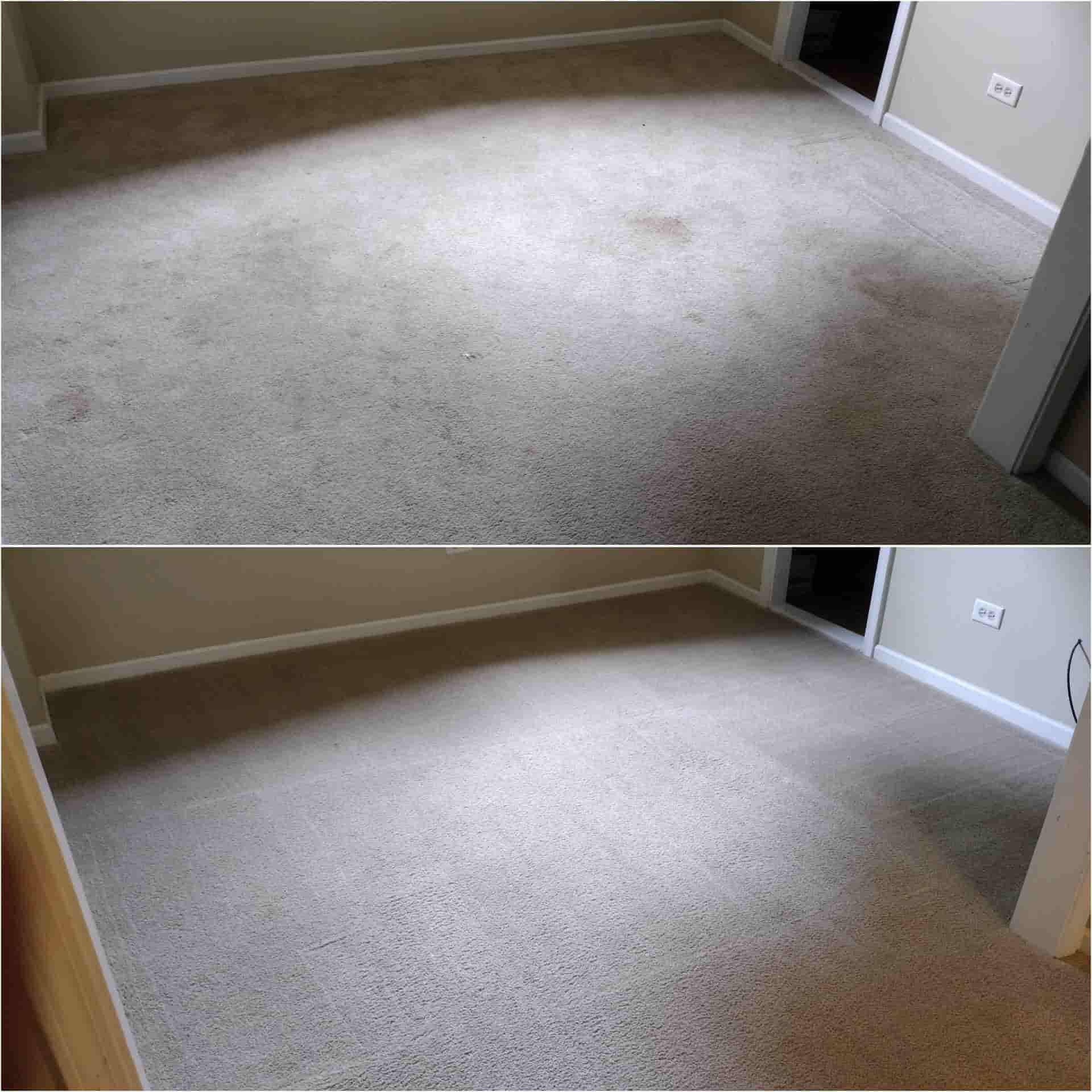 carpet cleaning companies near me