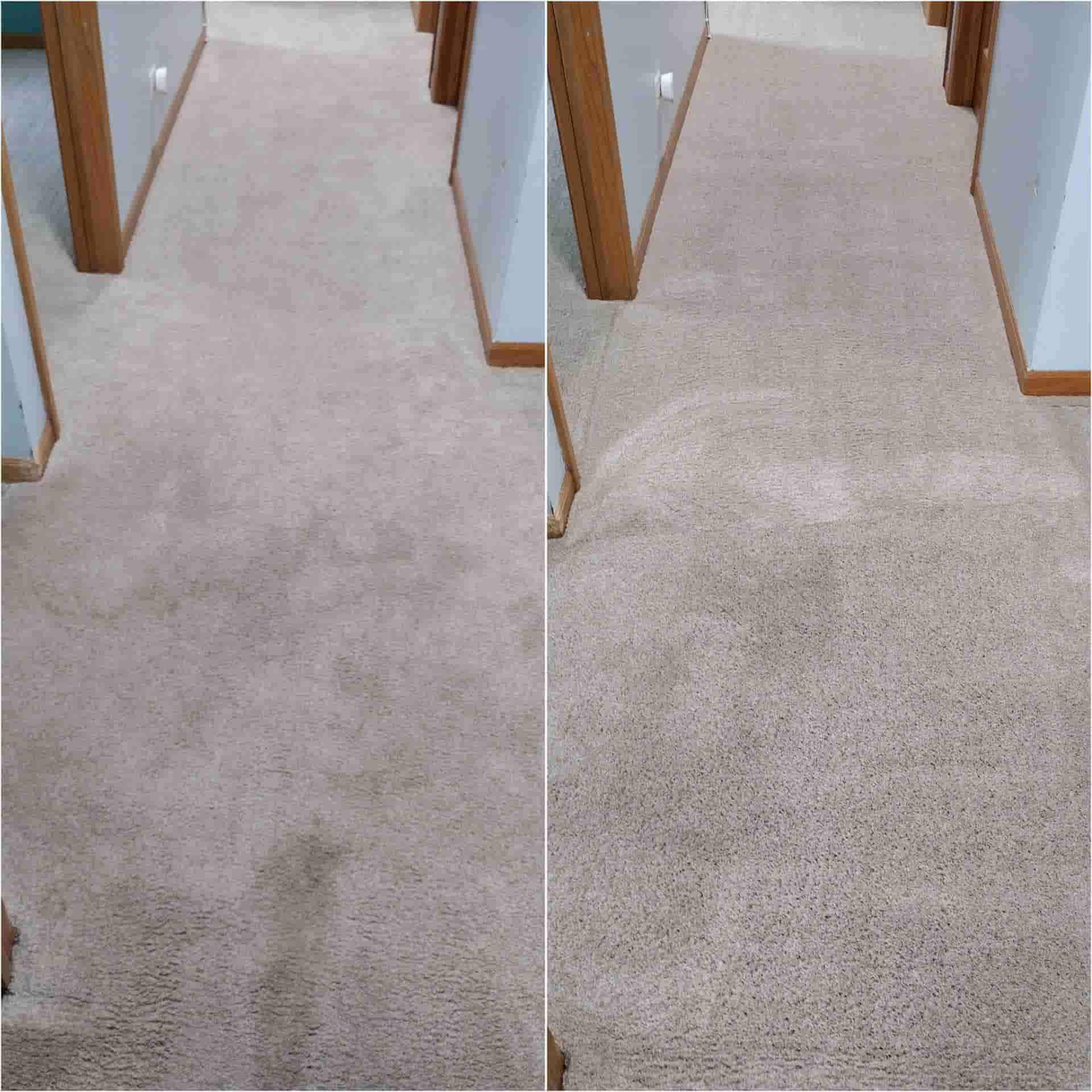 carpet cleaning companies