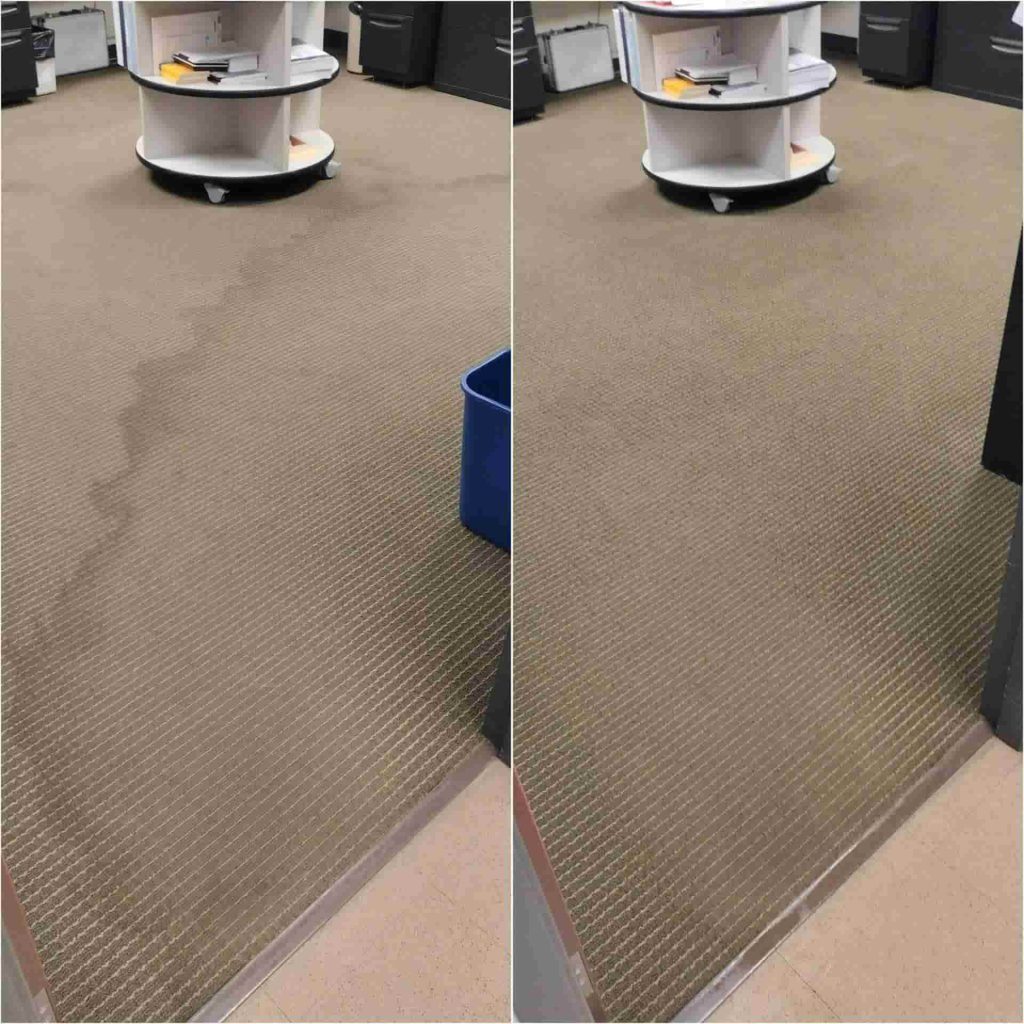 carpet cleaning service