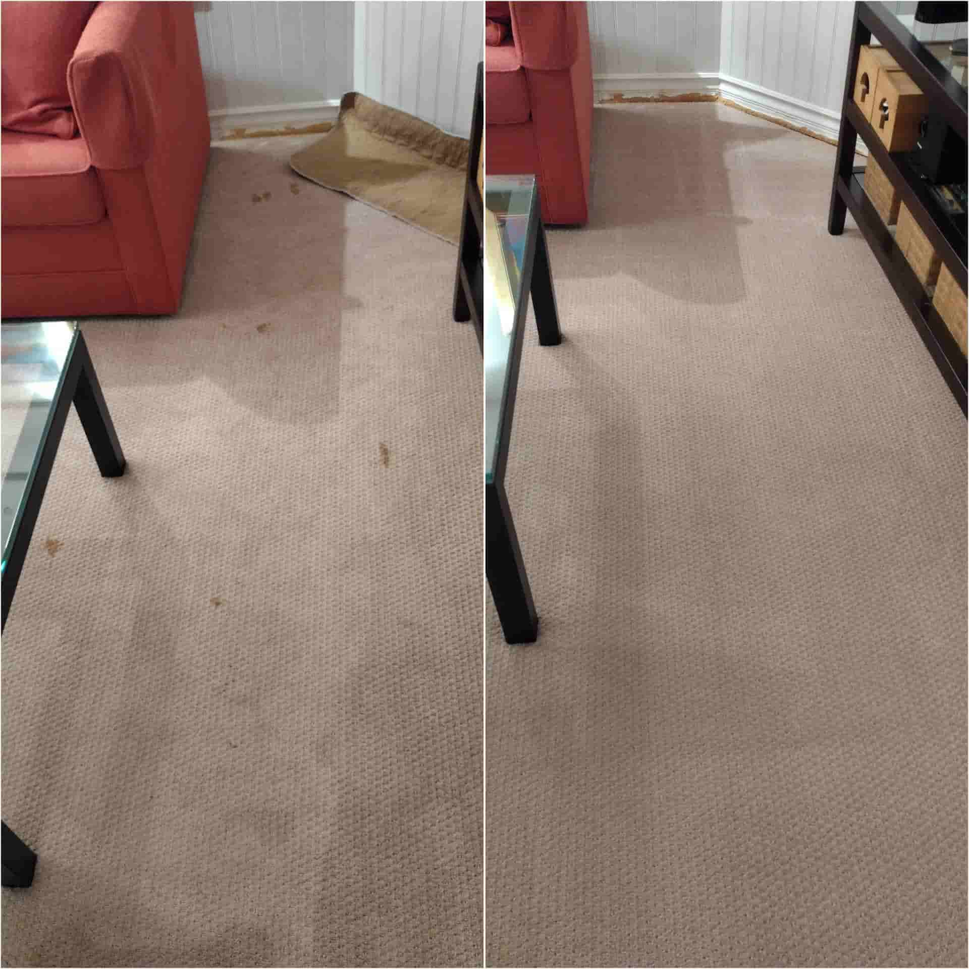 carpet cleaning services