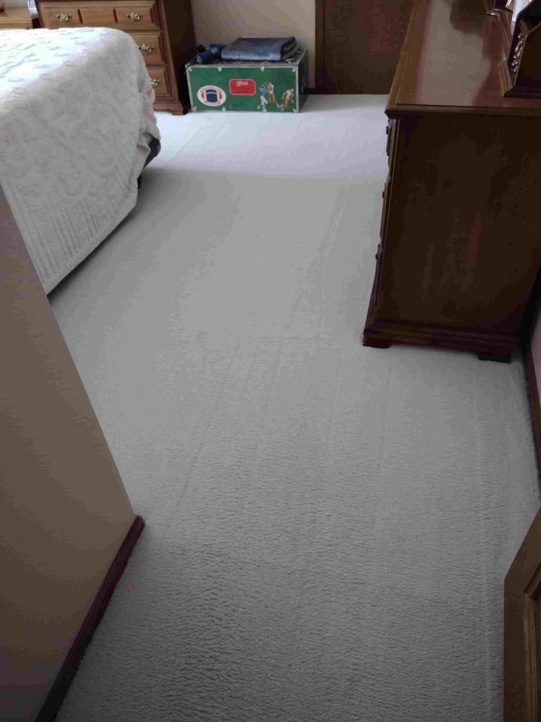 carpet cleaning services near me