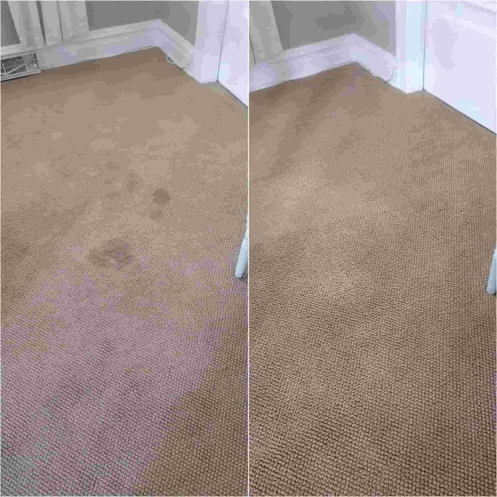 emergency carpet cleaning