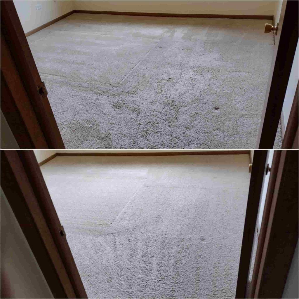 steam cleaning carpet