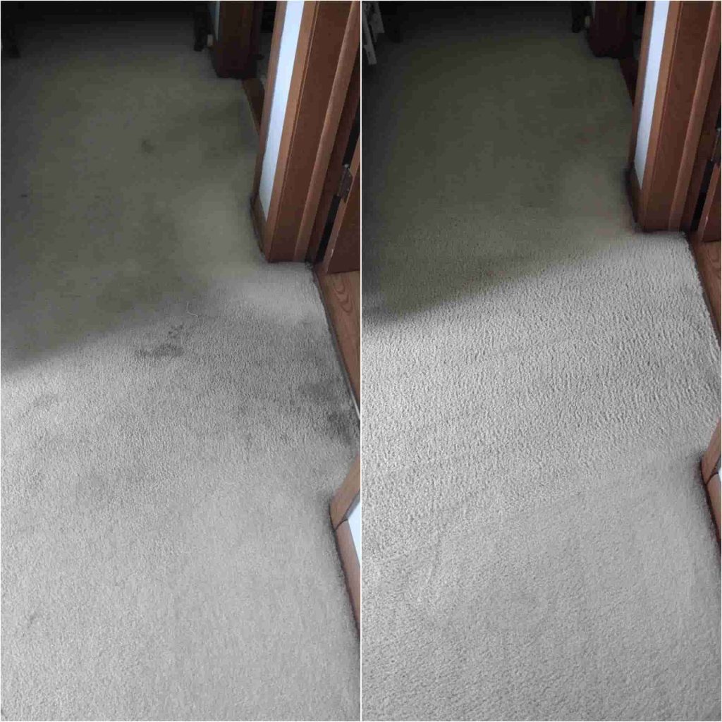 professional carpet cleaning