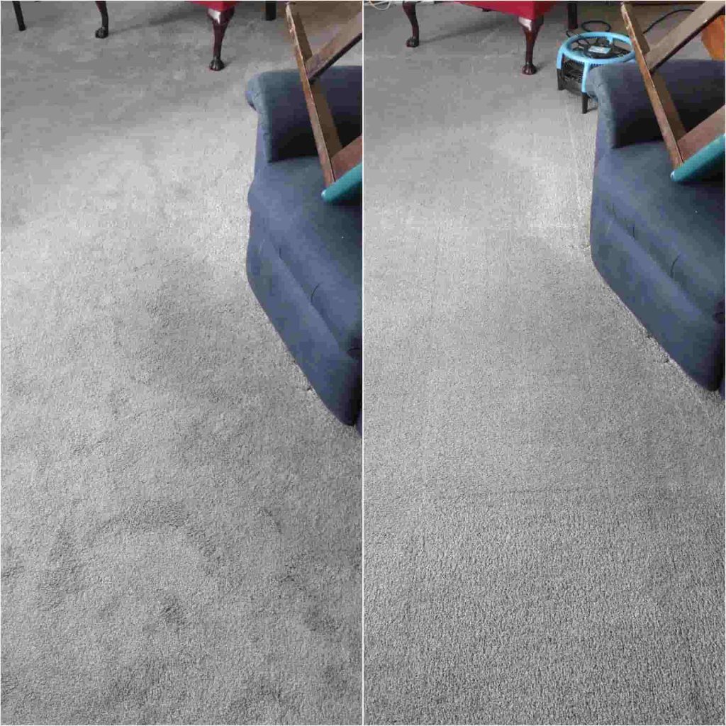 professional carpet cleaning near me