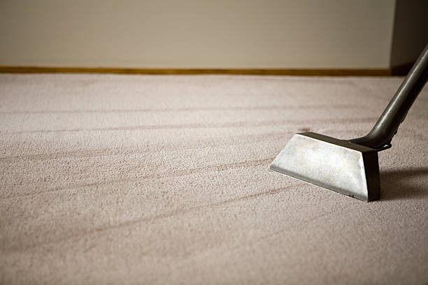 best carpet cleaning company