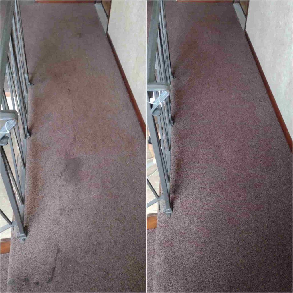 carpet cleaning