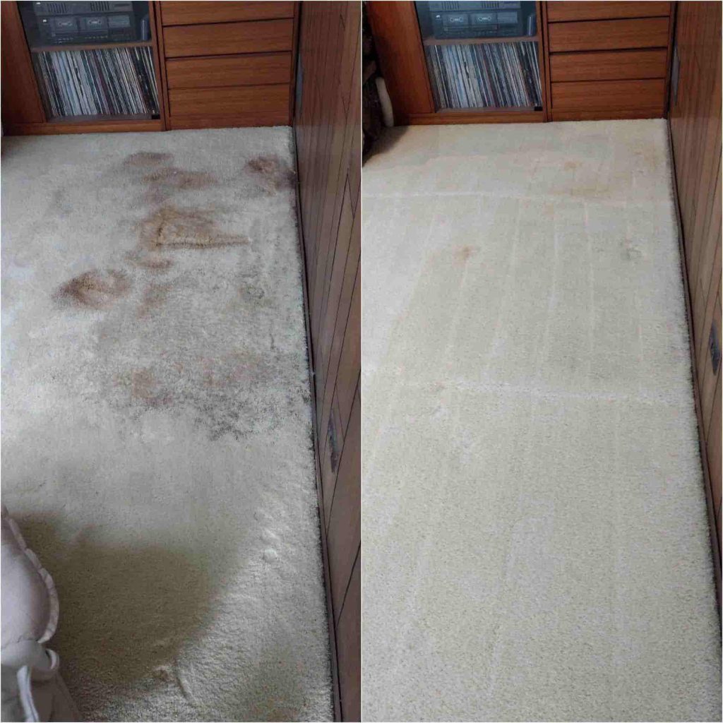 carpet cleaning