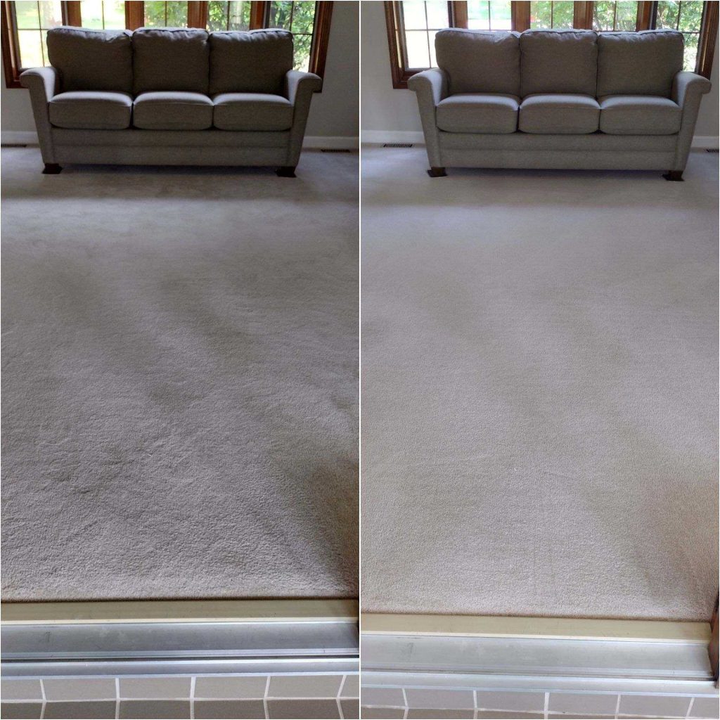 carpet cleaning