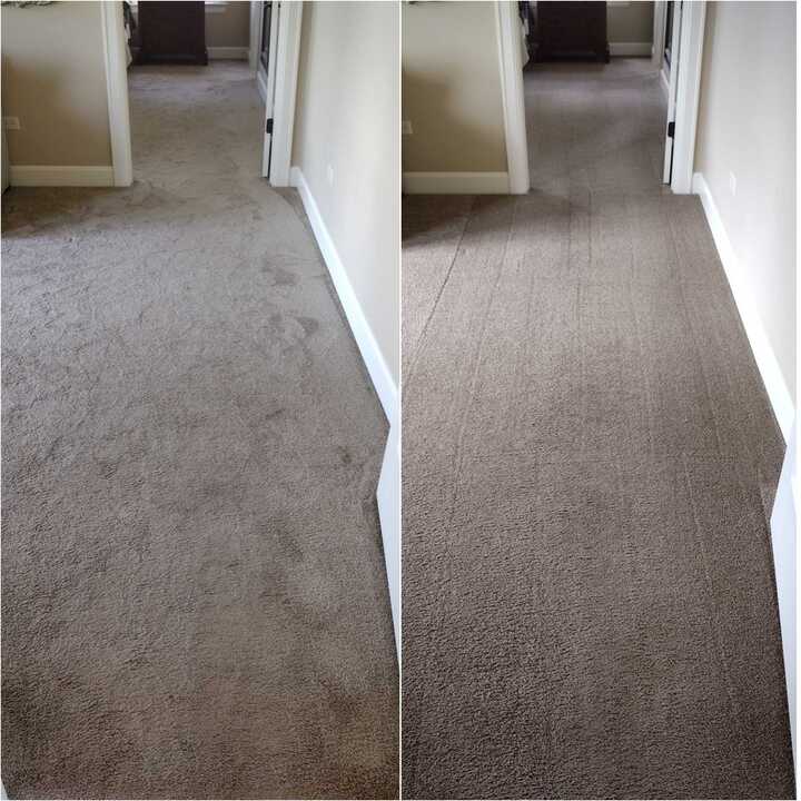 carpet cleaning