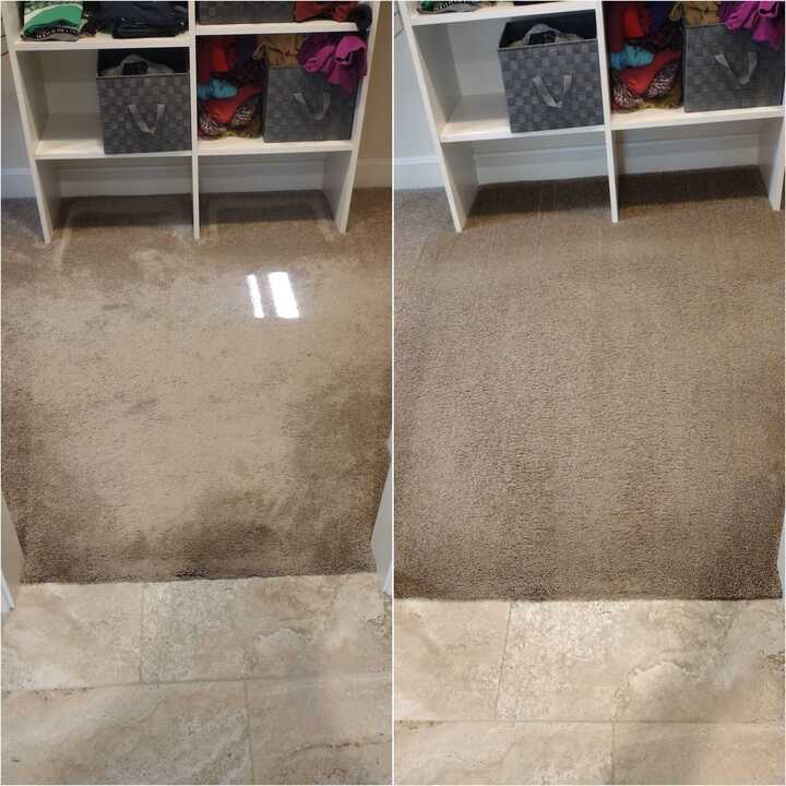 carpet cleaning