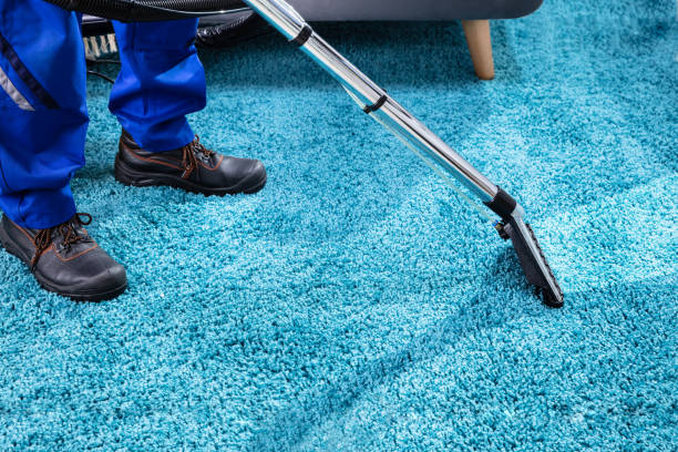 carpet cleaning services