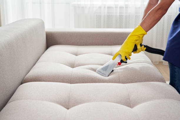 Professional deals couch cleaning