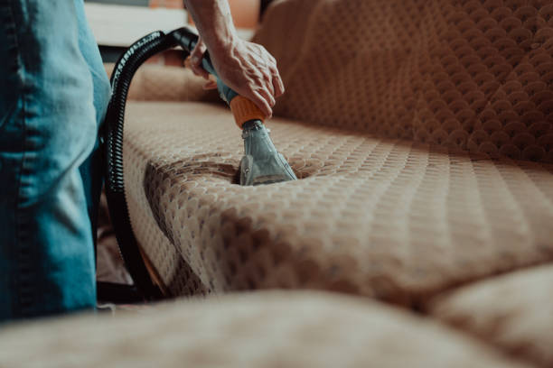 couch cleaning service