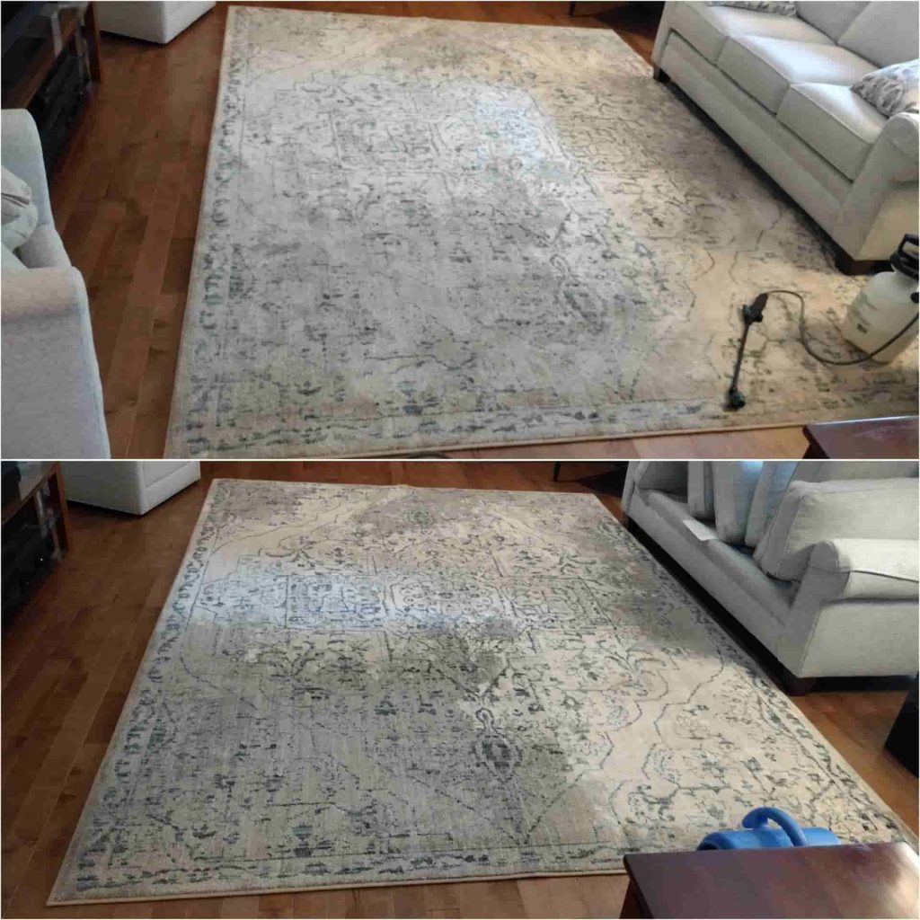 rug cleaning