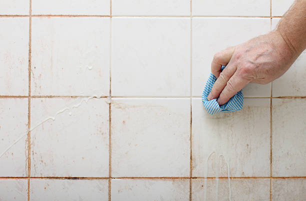tile cleaning service