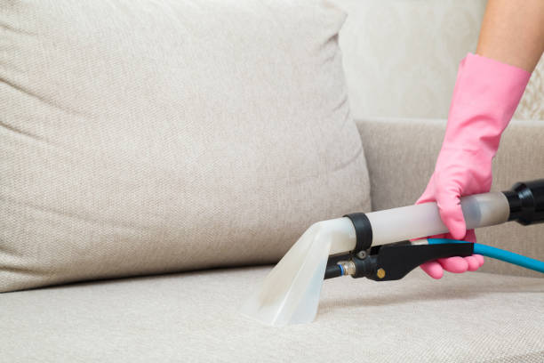 upholstery cleaning service