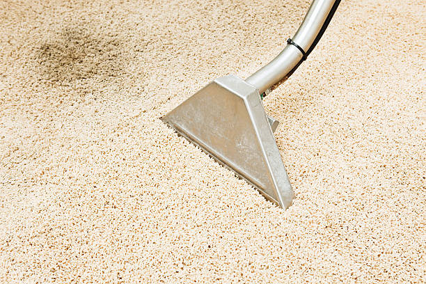 best carpet cleaning companies