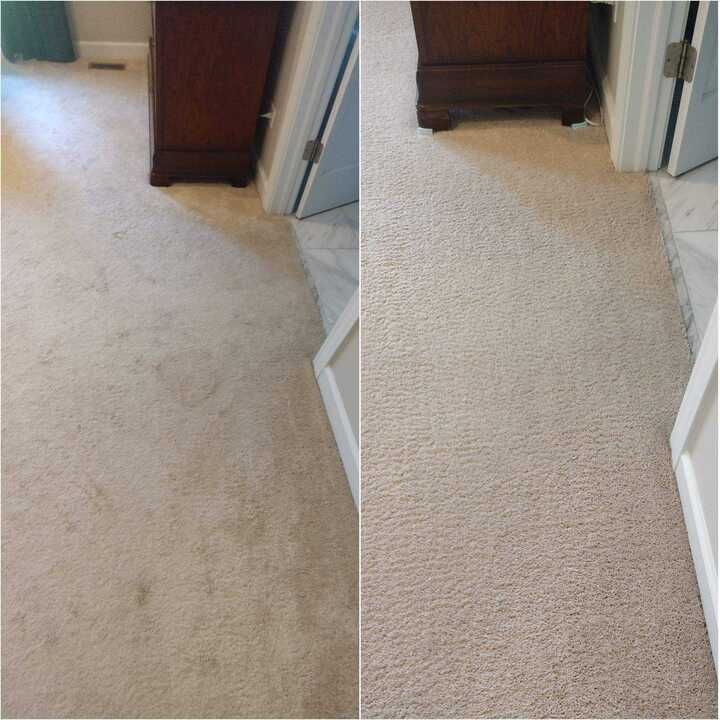 carpet cleaning