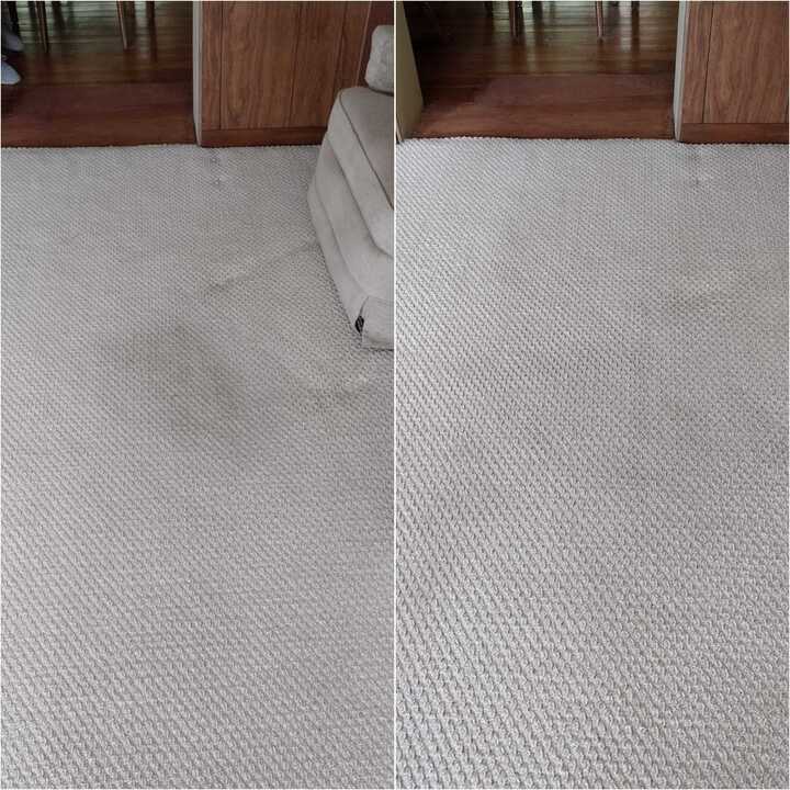 carpet cleaning