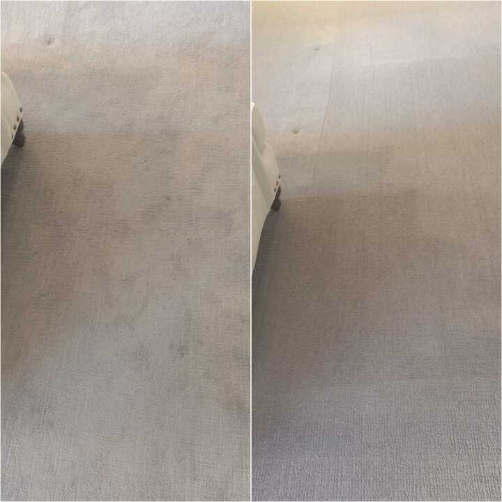 carpet cleaning