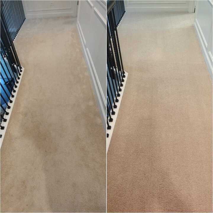 carpet cleaning