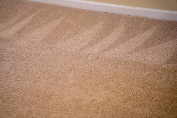 carpet cleaning