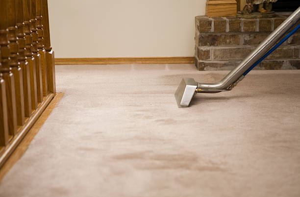 carpet cleaning companies near me