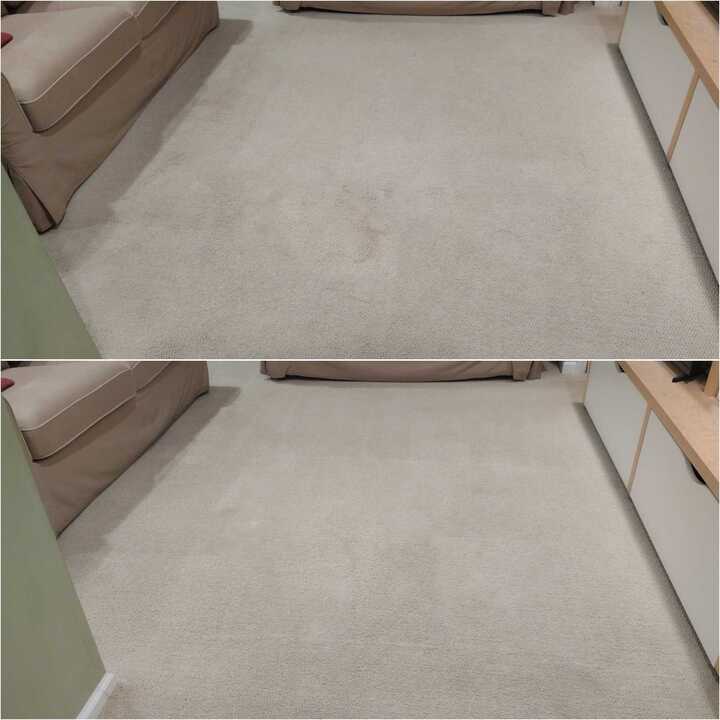 carpet cleaning companies