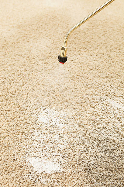 carpet cleaning near me