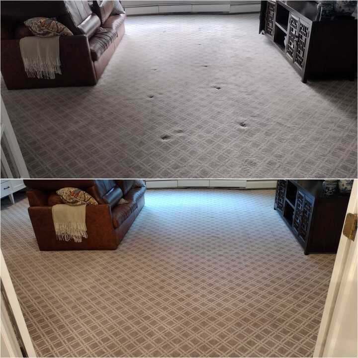 carpet cleaning