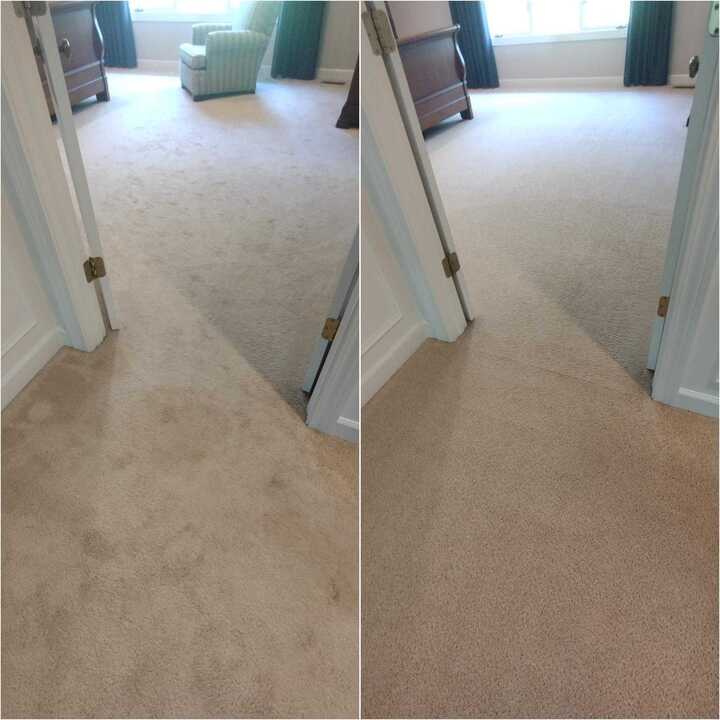 cleaning carpet