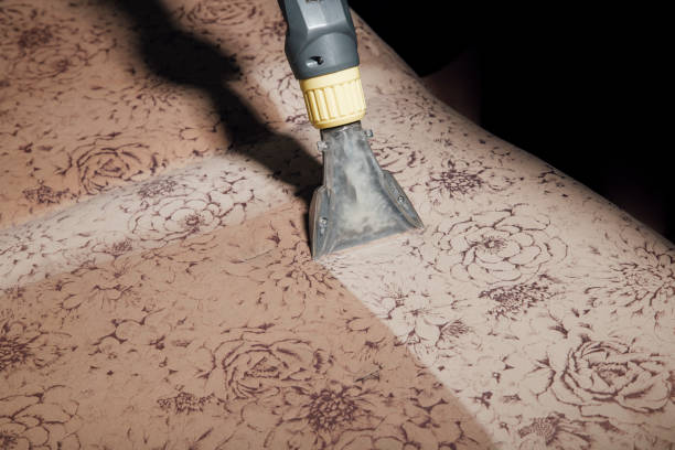 upholstery cleaning service