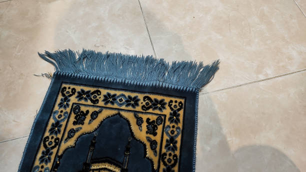 area rug cleaning