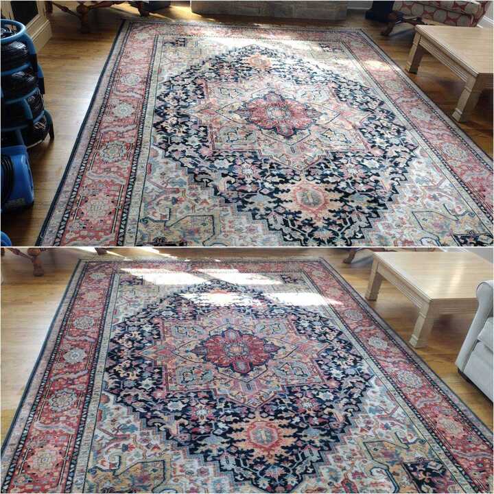 area rug cleaning