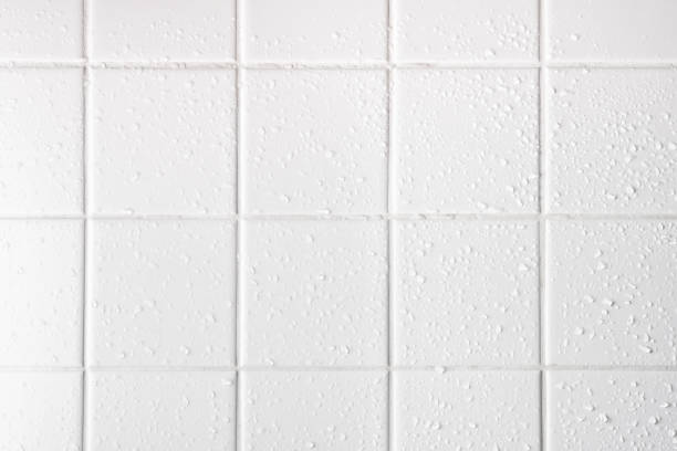 best way to clean grout in shower