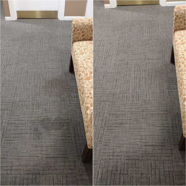 carpet cleaning