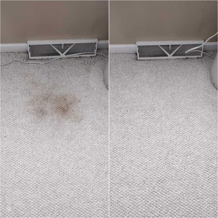 carpet cleaning