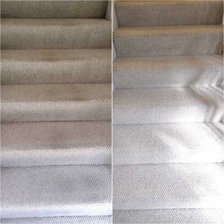 carpet cleaning