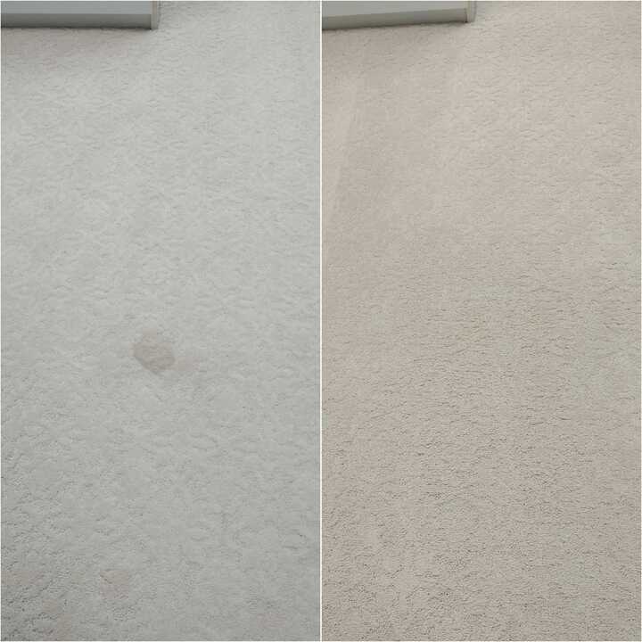 carpet cleaning