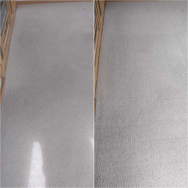 carpet cleaning