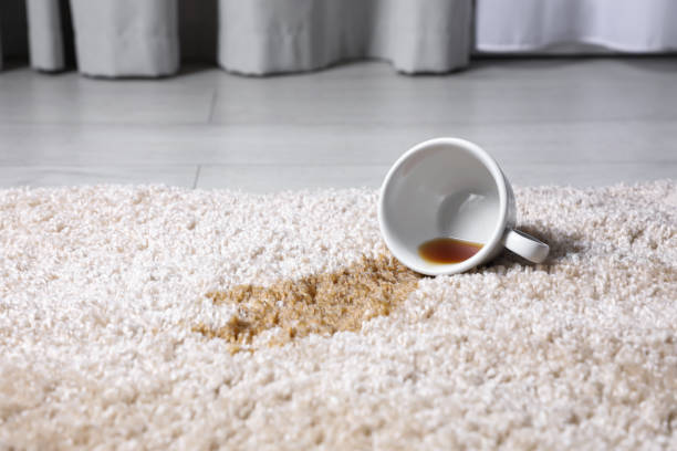 carpet cleaning companies near me