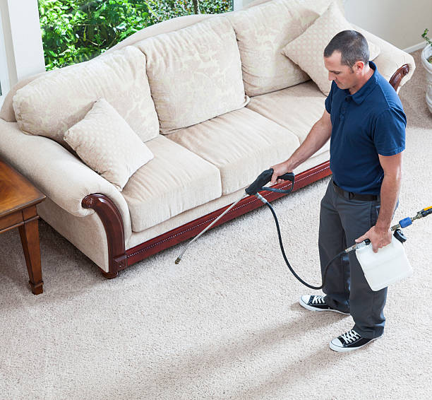 carpet cleaning companies